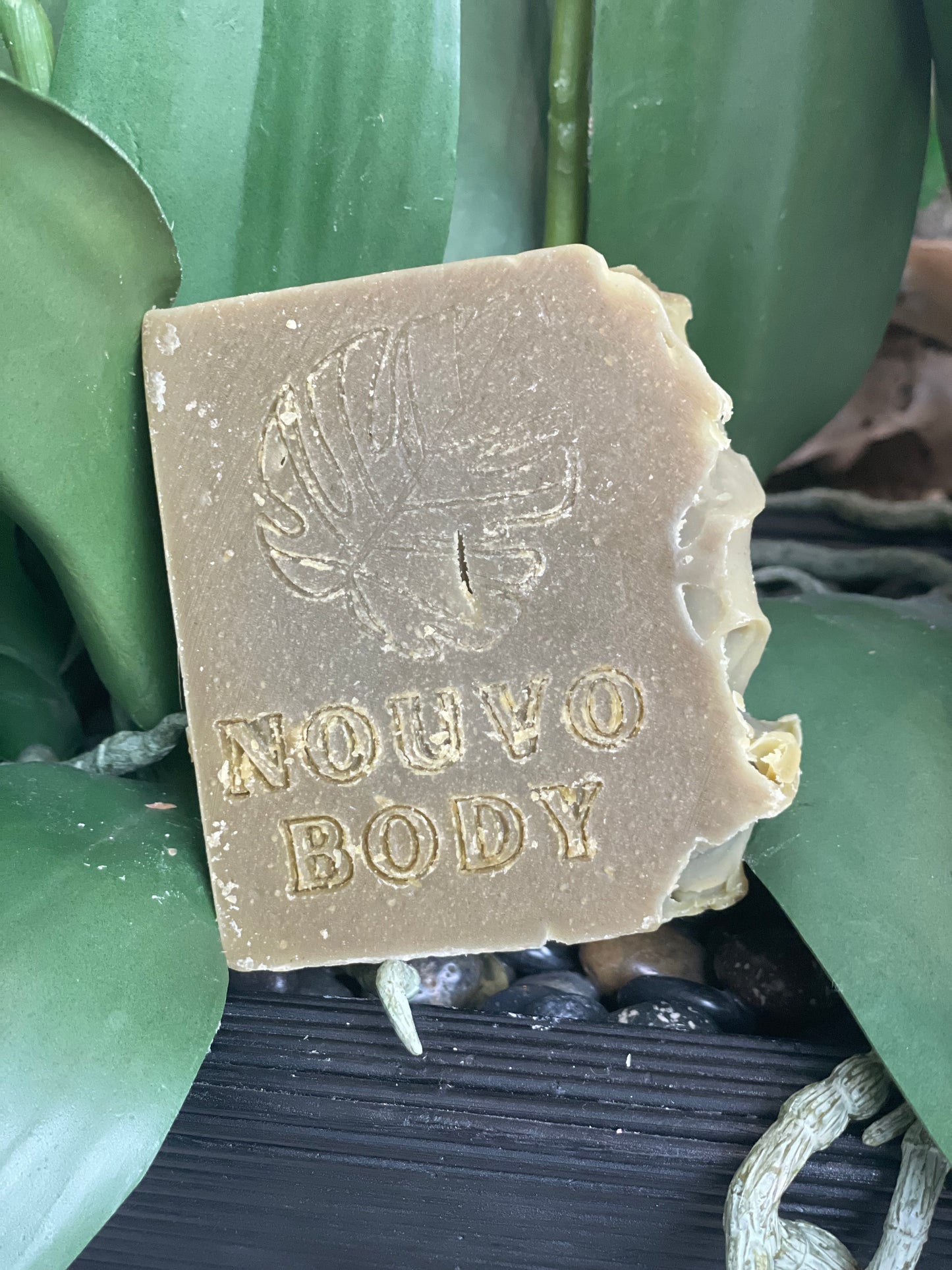 Moringa Soap —- 3 Thick Bars