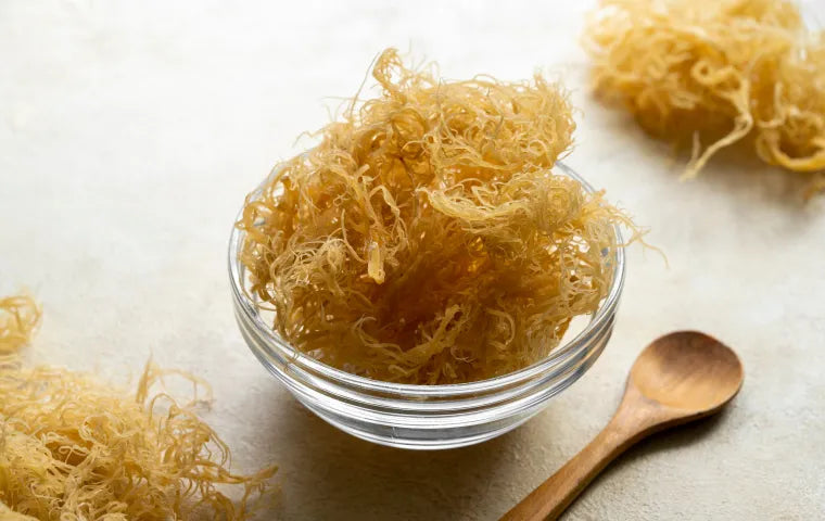 Revitalize Your Morning: Waking Up Your  Skin with  Sea Moss