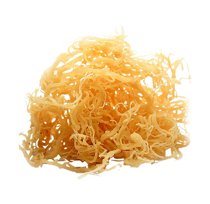 Dried Sea Moss Gold from St. Lucia (2oz) - pre order