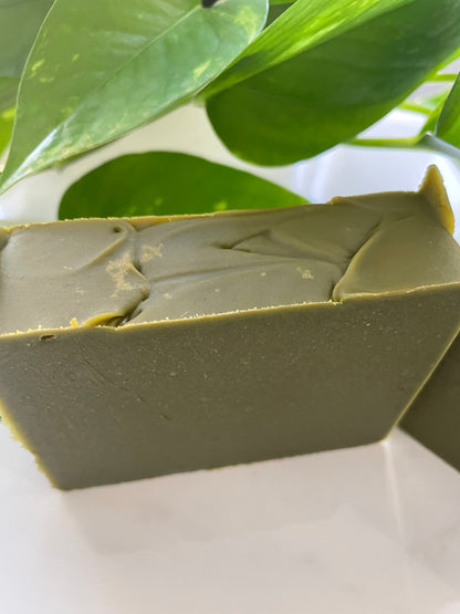 Moringa Bar Soap ( 2 Bars )