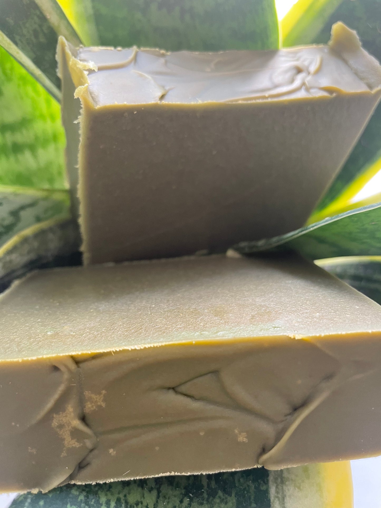 Moringa Bar Soap ( 2 Bars )