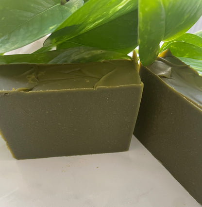 Moringa Bar Soap ( 2 Bars )